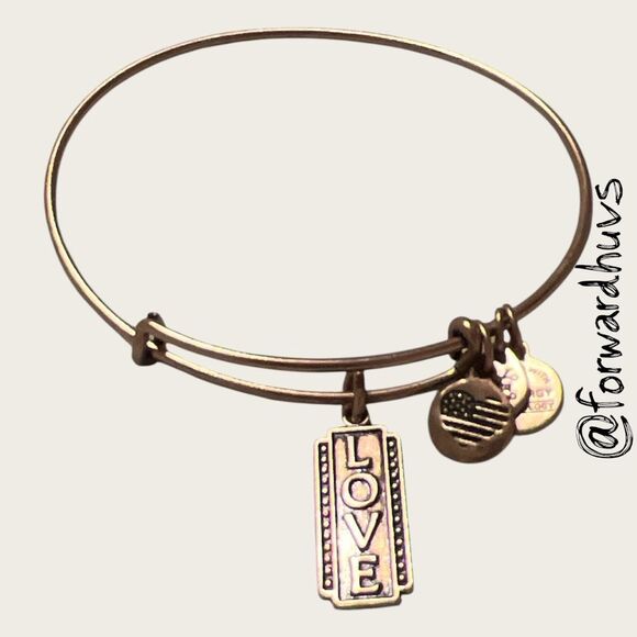 Bundle Sale 3 for $15 | ALEX AND ANI Love Charm Bangle - Picture 3 of 7